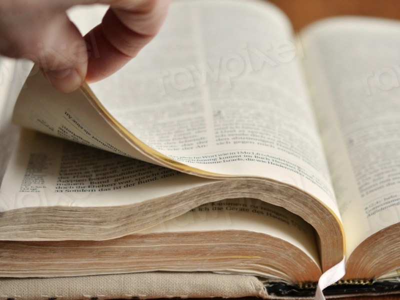 Undergraduate Survival Guide: How to Read an Academic Article or Book